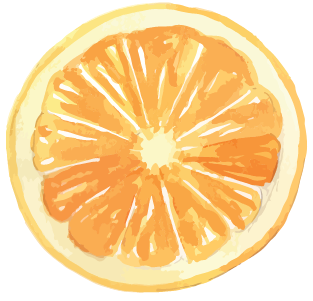  Illustration of a lemon slice 