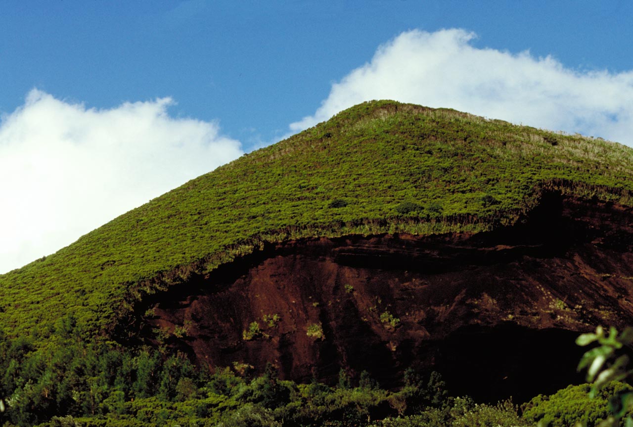 Cabeço verde on the island of Faial