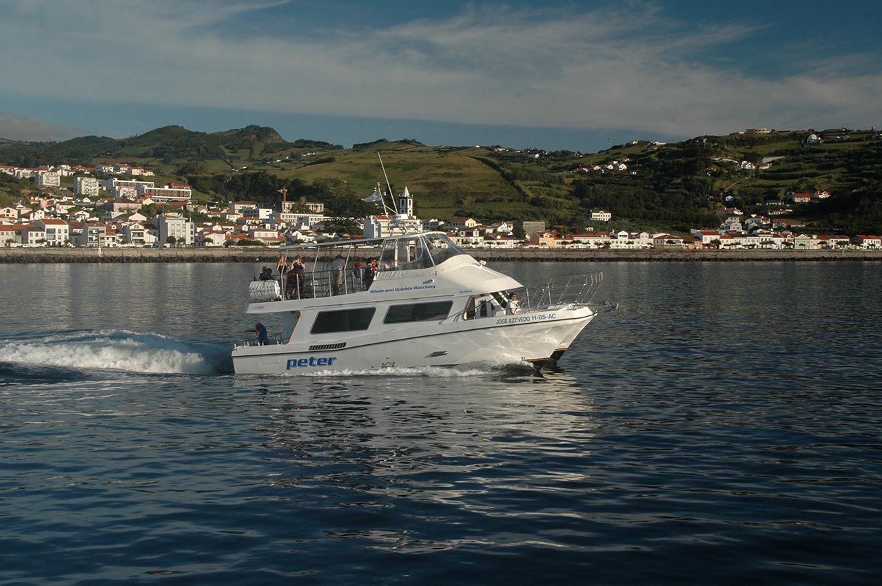 Fotografia de um dos catamarãs da empresa Peter Cafe Sport durante um passeio na ilha do Faial