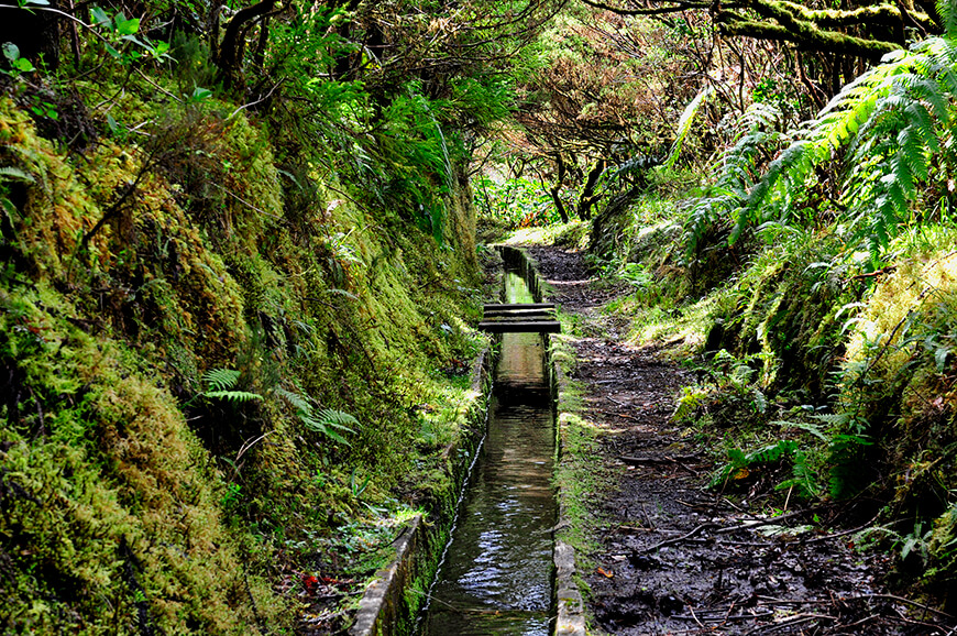 Trilho das Levadas na ilha do Faial